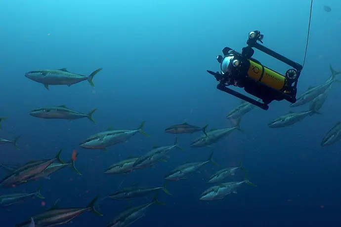 Boxfish robotics auv with DVL